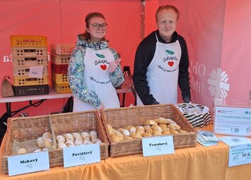 Jihlavané byli na svatého Martina štědří a darovali na Adaptu přes 86 000 korun